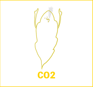 CO2